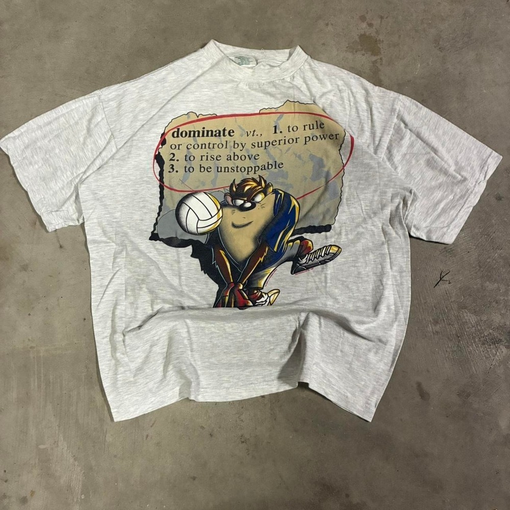 Vintage Looney Tunes Taz Volleyball Tee Tasmanian Devil Graphic 90s